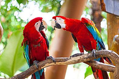 粉丝自制PS1版《死亡空间》 免费下载游玩